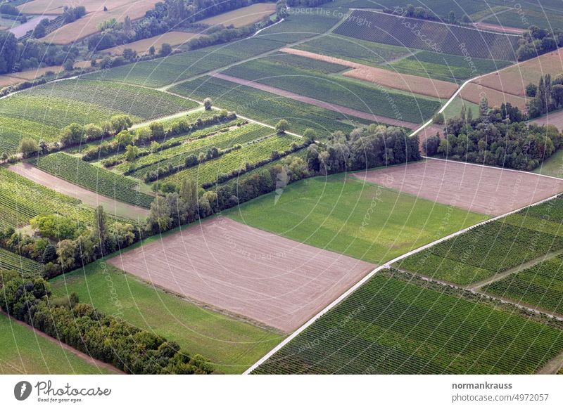 Bird's eye view of cultural landscape fields acre Landscape Manmade landscape Overflight demarcation Bird's-eye view Abstract palatinate southern Palatinate