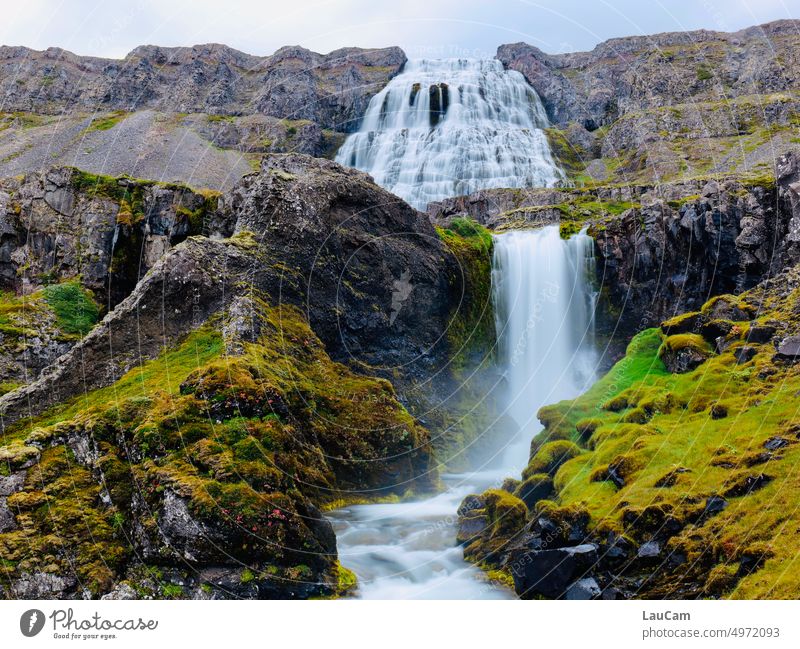 Dynjandi: an eye-catcher in the northwest of Iceland Waterfall River River bank Nature Force of nature Elements Landscape White crest Rock Wet Wild Canyon