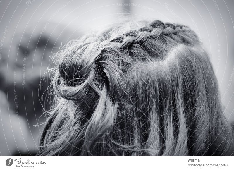 Braided hair of young girl, back view hairstyle Long-haired open hair Plaited pinned up Girl Hair and hairstyles Woman youthful ash blonde street dog blonde B/W