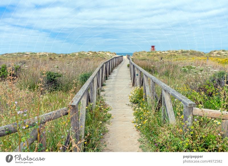 long wooden walkway in Andalusia Spain ,which leads to a dream beach dunes Beach Sand Sky Vacation & Travel coast duene Marram grass Tourism Exterior shot