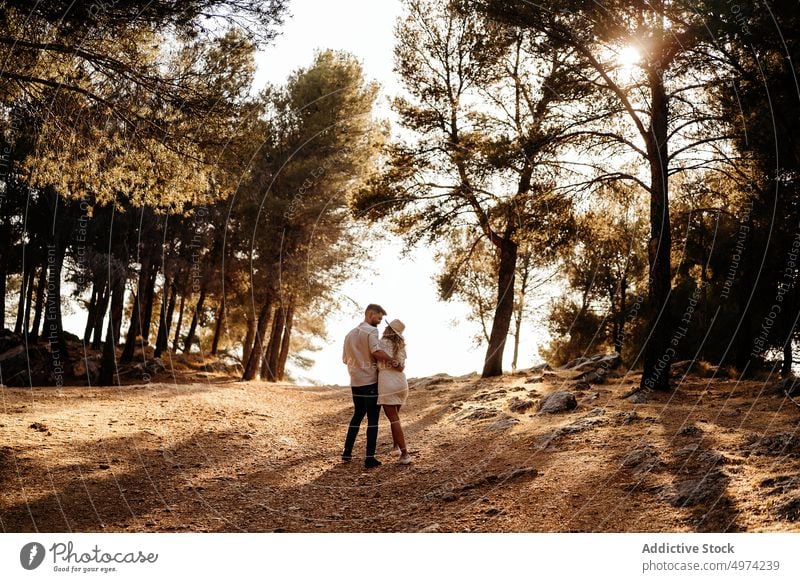 Couple holding hands and smiling while walking against green forest in evening couple happy park romantic love stroll girlfriend boyfriend date countryside