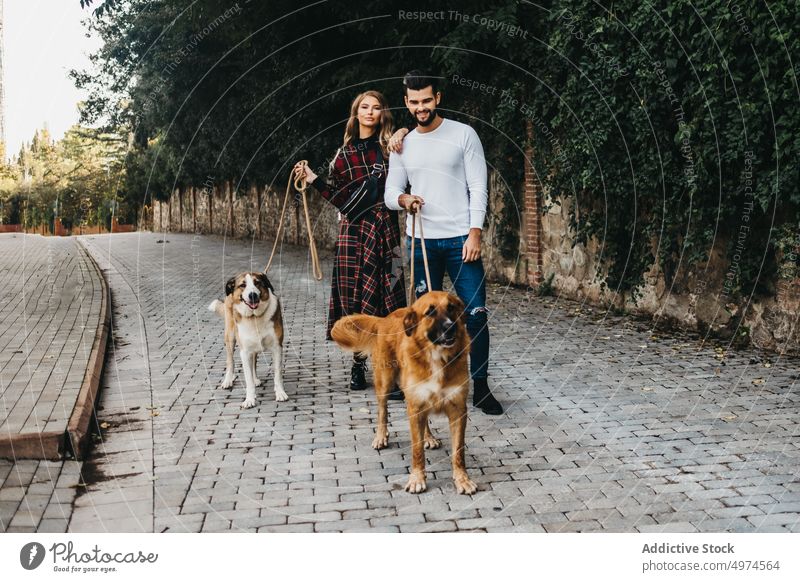 young attractive couple walking their dogs dating street city woman happy park two pet casual together people animal road caucasian autumn lifestyle love