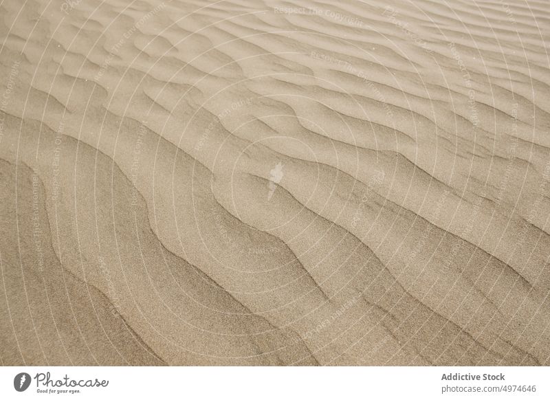 Texture of sand land texture dune spain desert ripple europe summer nature landscape travel adventure dry hot scenic dust wave shape panoramic journey tourism