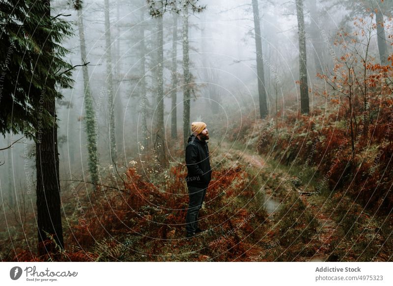 Bearded guy in coat and hat near fir trees man forest rain pensive cold weather water drop rainy bearded thoughtful wood thinking young countryside walking park