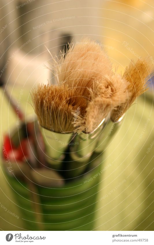 Cosmetic Brushes Cosmetics Paintbrush Living room Bristles Mug Interior shot Hair and hairstyles accessories Macro (Extreme close-up)