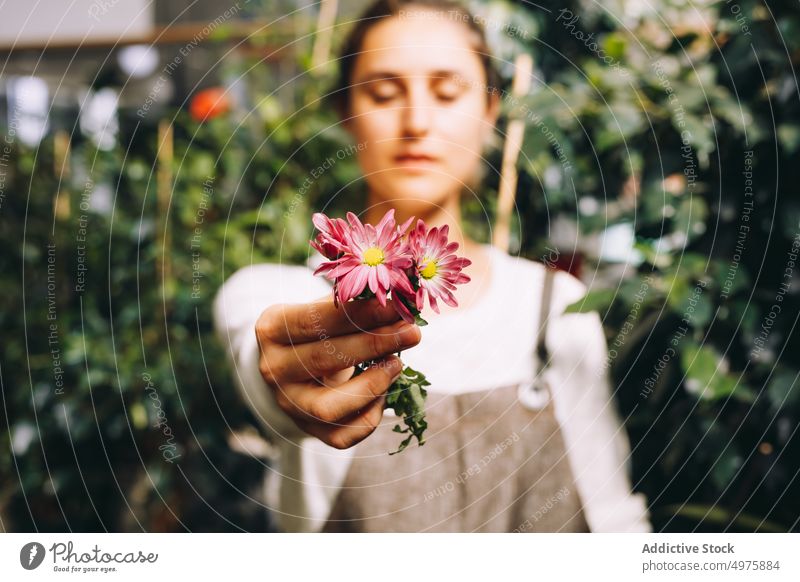 Young woman standing in orangery with flower smell greenhouse daisy garden enjoy plant margarita grow work cultivate female young occupation profession owner