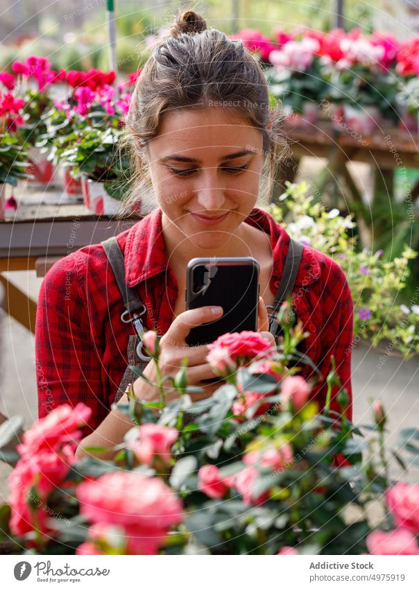 Florist taking photos of flowers in hothouse gardener greenhouse take photo smartphone woman work organic botany female small business plant professional fresh