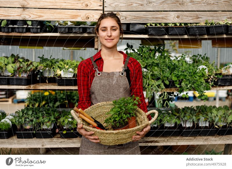 Crop gardener carrying tools and seedlings greenhouse sprout woman work agriculture organic botany female plant small business professional fresh apron owner