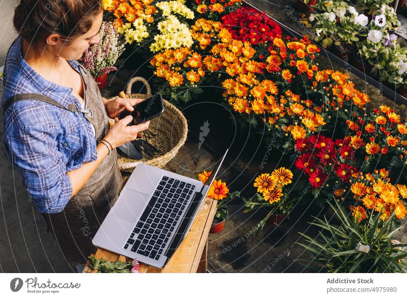 Woman working in orangery and using phone woman gardener flower laptop margarita plant message mobile smartphone floristry cellphone checking female work wear