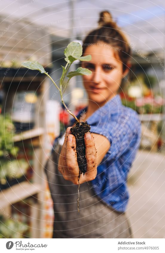 Woman holding green seedling with soil woman plant grow work sprout garden cultivate workplace greenhouse orangery female hands small business occupation job