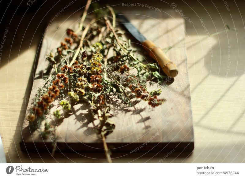 Dried kitchen herbs on a wooden cutting board with knife Chopping board Herbs and spices Rosemary Cooking naturally Aromatic Ingredients season recipe boil