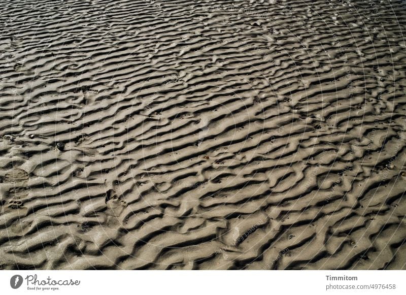 North Sea beach sand at low tide Beach Sand coast Low tide Denmark Nature Tide Pattern shape vivid Deserted Shadow