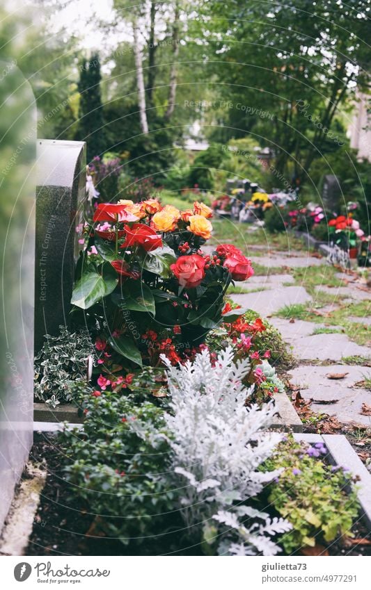 What comes what remains? After death... | Flowers and memories at the cemetery Cemetery Grave Tombstone Memory Death Grief Exterior shot Religion and faith