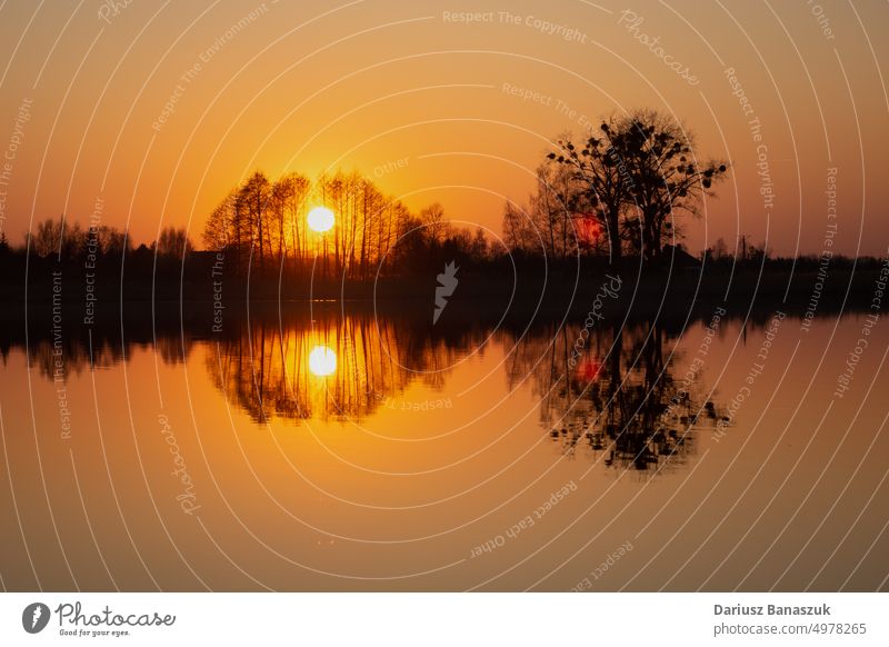 The reflection in the water of the sunset behind the trees nature landscape outdoor sky beautiful evening dusk summer background lake light orange horizon