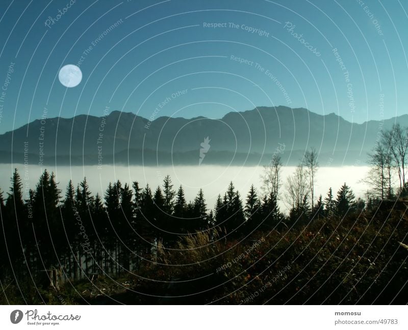 ...above the clouds Forest Full  moon Fog Clouds Light Austria Mountain Moon Sky