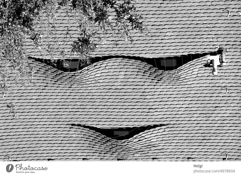 a smile ... Smiling Roof Dormer Building eyes Mouth Face surreal Roof shingles Exterior shot Architecture Deserted House (Residential Structure) Window Branch