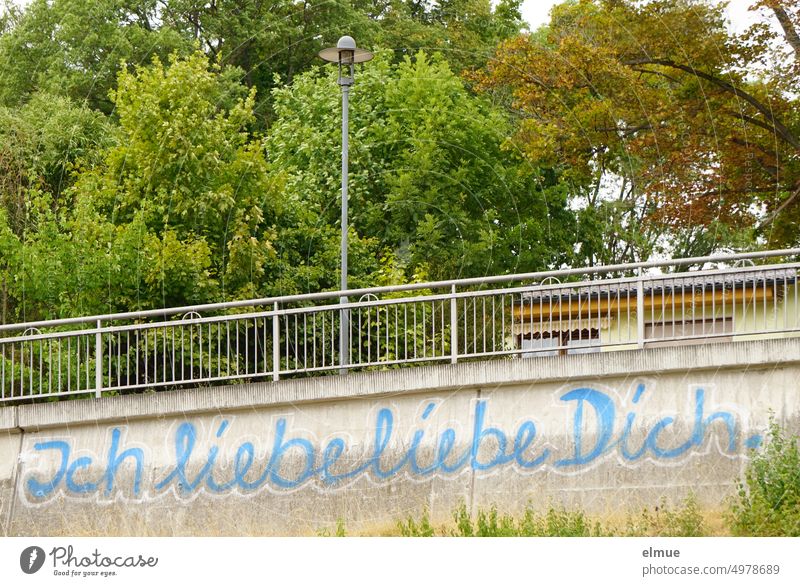 I love you. - is written in blue and white handwriting on a wall with metal fence, street lamp, green bushes and trees Graffiti Daub Declaration of love