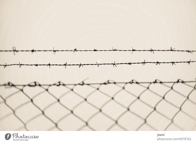 Freedom - not a matter of course everywhere Barbed wire Fence Wire netting fence disassociated Protection Barrier cordon Border Border area Captured captivity