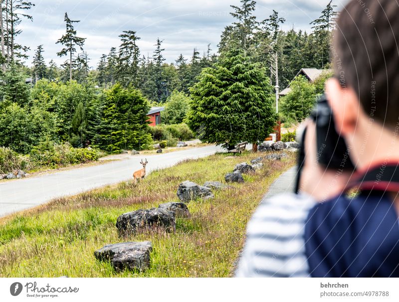 nature-loving | animal photographer Nature Landscape trees Vancouver Island British Columbia Son Child Boy (child) Family & Relations Infancy Exterior shot