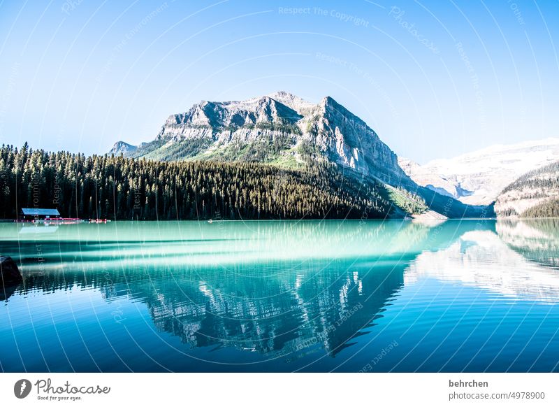 The lake rests still silent Peaceful Lonely Loneliness Sky Glacier Banff National Park mountain lake Reflection wide Far-off places Wanderlust especially