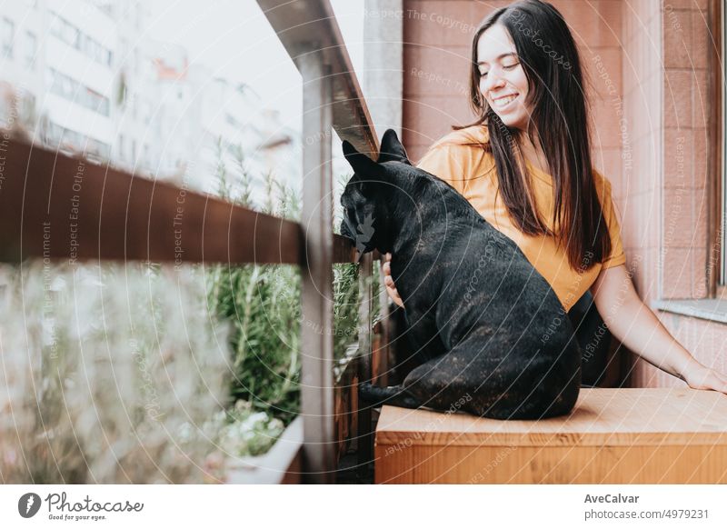 Cheerful young woman cuddling and taking care of her french bulldog on home.Puppy observing concentrated looking the city.Playful,humorous and cheerful friendship partner. Cozy domestic atmosphere
