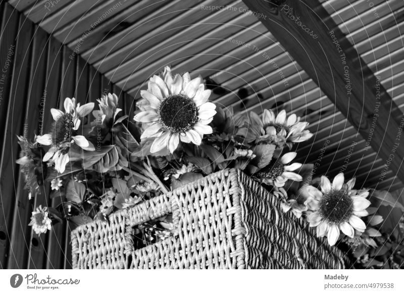 Old basket with carrying handle and artificial sunflowers in an old country house in Inkumu on the Black Sea in Bartin province on the Black Sea coast in Turkey in classic black and white