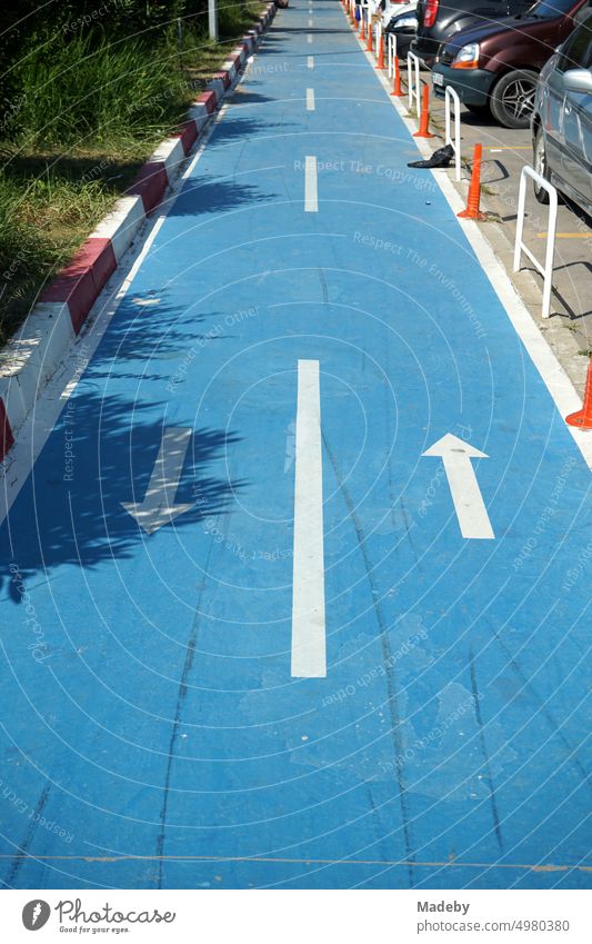 Blue bike path with white arrows and markings in summer sunshine in Inkumu on the Black Sea in Bartin province on the Black Sea coast in Turkey Cycle path