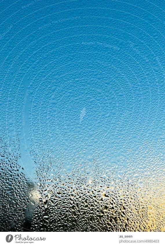 Window on a beautiful cold day Condensation Window pane Drop Water Drops of water Wet Glass Weather Deserted Reflection Sun chill Cold Damp Light Close-up