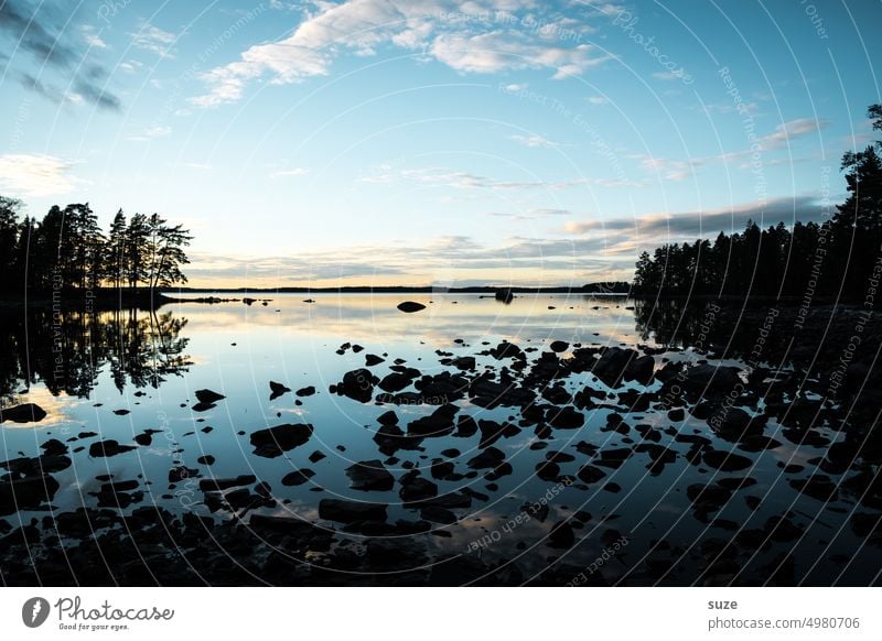 Loose stone collection Lake Swede Evening Romance Idyll Landscape Reflection Twilight Sky Lakeside Nature Water Calm Deserted Environment Colour photo