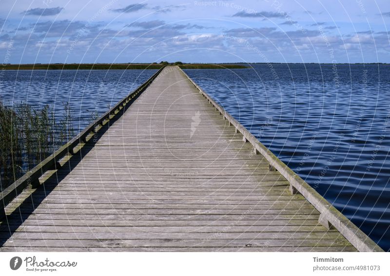 There is a way! off Wood planks Woodway Boundary Water Fjord Waves grasses Island Blue Green Sky Clouds Denmark tranquillity relaxation Meditation Deserted