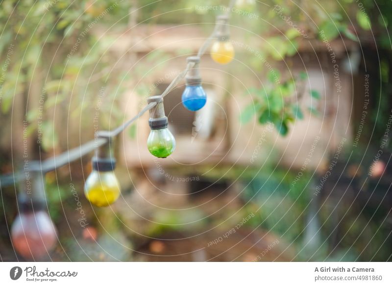 coloured lightbulb chain in garden setting Light chains Bunting Red Yellow Green Blue Garden friendly colourful Style Playful Autumnal Warm colour Tree Happy