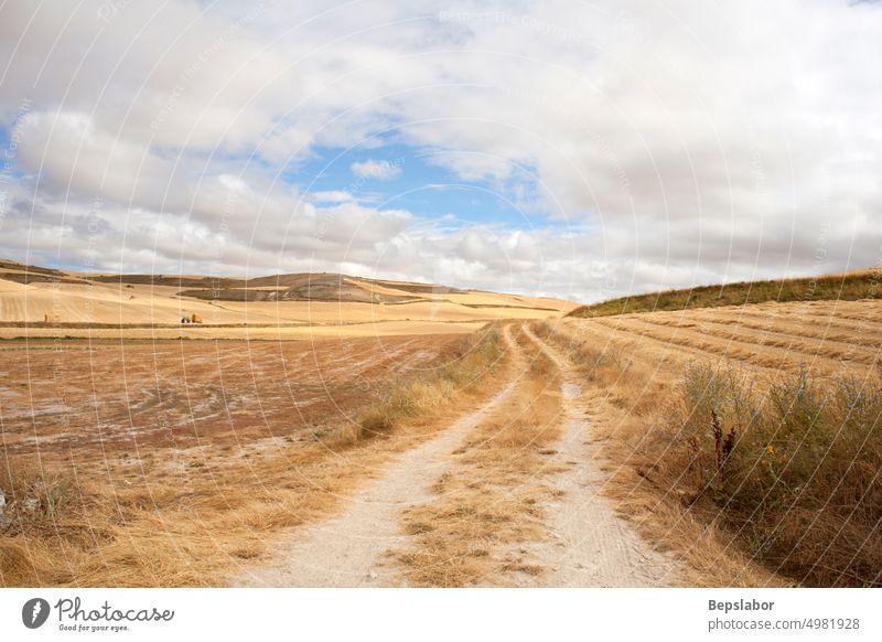 Road in the spanish countryside at the summer season Camino de Santiago Spain agriculture bales of hay cloudy corn cornfield crop farming grass country