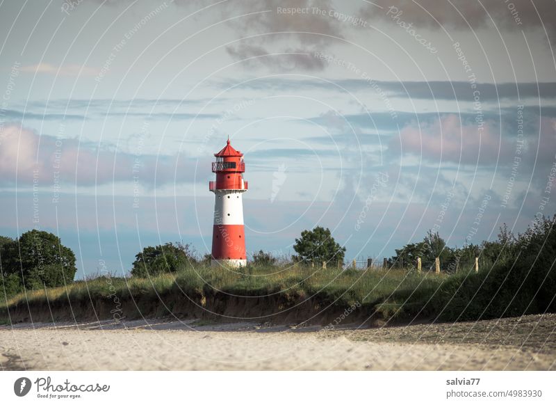 Lighthouse in greenery with beach in foreground Beach Sky Clouds trees Vacation & Travel coast Nature Baltic Sea Baltic coast Relaxation Idyll destination