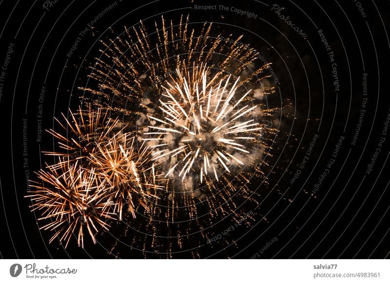 Fireworks *1700* Firecracker New Year's Eve Long exposure Reaction Sky Pyrotechnics Jubilee celebration Feasts & Celebrations Illuminate Explosion Night sky