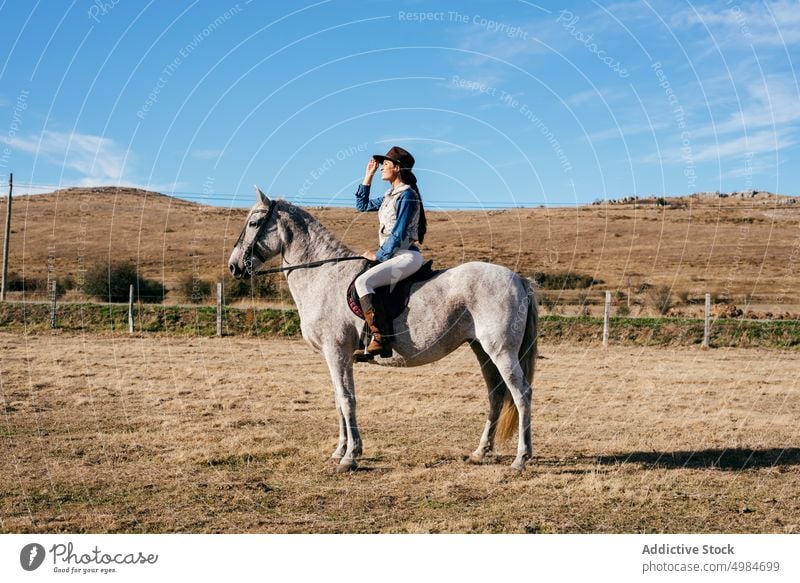 Woman sitting on white horse in nature rider rural bright sunlight equine horseback saddle recreation lifestyle breed farm outdoors cowgirl animal sport country