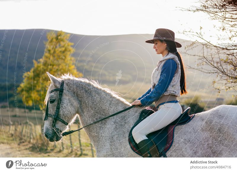 Woman ridding on white horse in nature rider rural bright sunlight equine sitting horseback saddle recreation lifestyle breed farm outdoors cowgirl animal sport