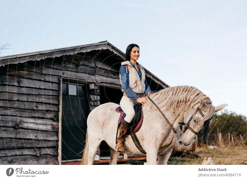 Woman ridding on white horse in nature rider rural bright sunlight equine sitting horseback saddle recreation lifestyle breed farm outdoors cowgirl animal sport