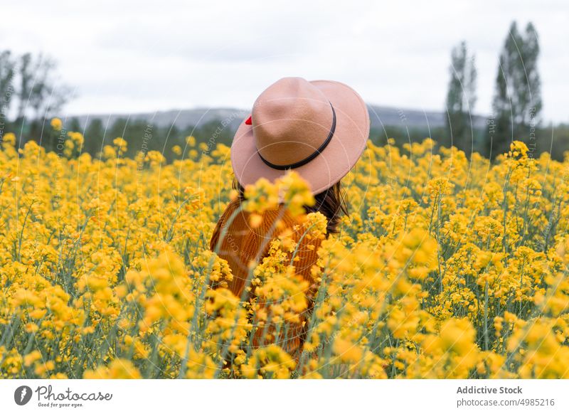 Woman in field with yellow flowers woman summer sunhat meadow bloom blossom nature female palencia spain countryside fresh highland mountain aromatic harmony