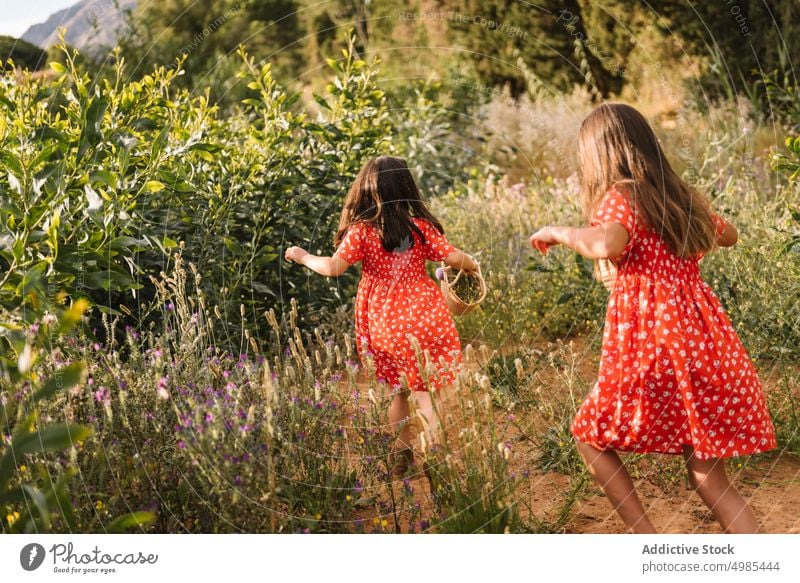 Girls in red dresses walking in field girl friend nature summer sister explore adventure basket childhood fun curious family kid little sibling together meadow