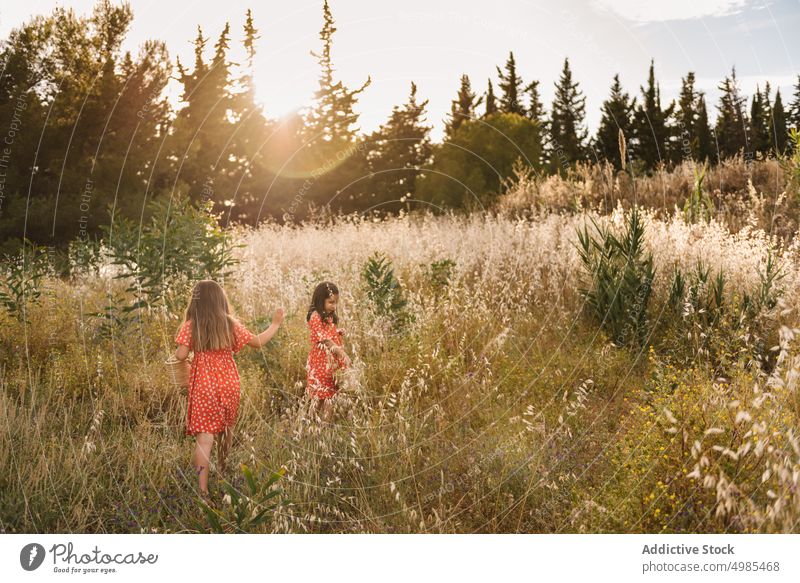 Girls in red dresses walking in field girl friend nature summer sister explore adventure basket childhood fun curious family kid little sibling together meadow