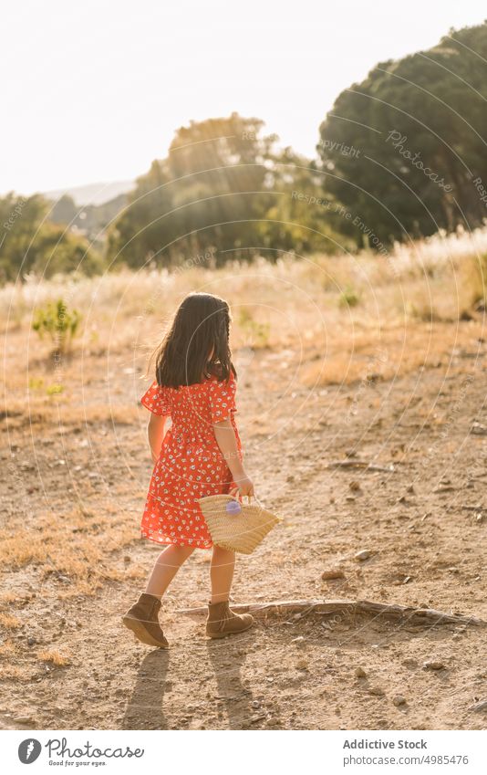 Little girl walking in field on sunny day run summer nature basket excitement flower collect energy childhood adorable holiday natural lifestyle pick beauty