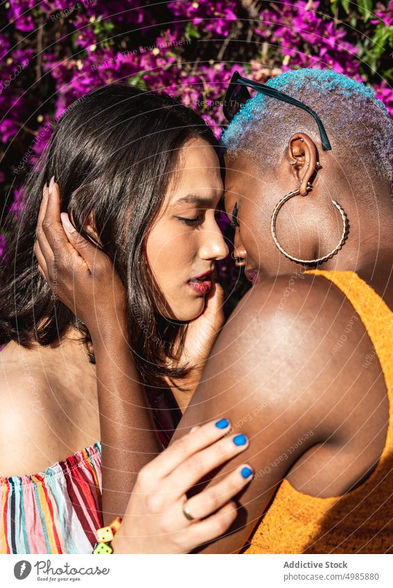 Multi ethnic lesbian couple kissing outdoors love affection stylish lgbt homosexual fashion bonding togetherness young multi ethnic multiracial female beautiful