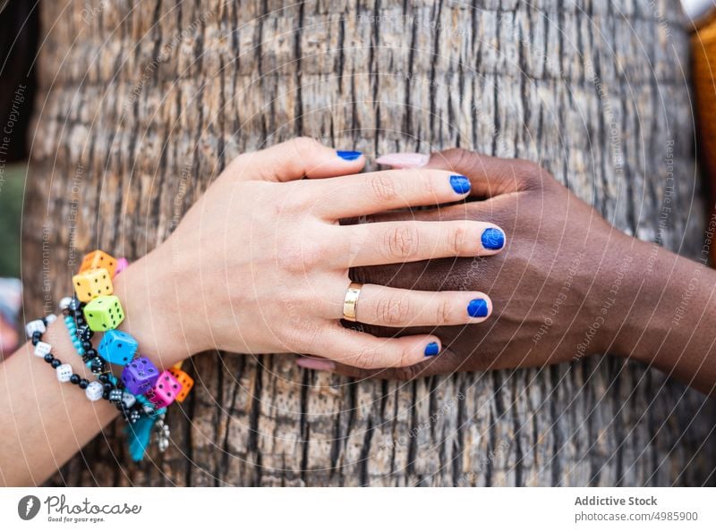 Crop multiethnic lesbian couple touching hands near tree love holding hands girlfriend same sex lgbt together relationship multiracial diverse homosexual women