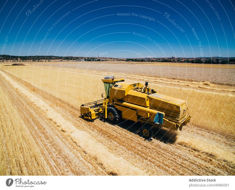 Yellow tractor plowing field and collecting ears machine wheat agriculture farm minimalist harvest farming countryside plant rural nature industry equipment