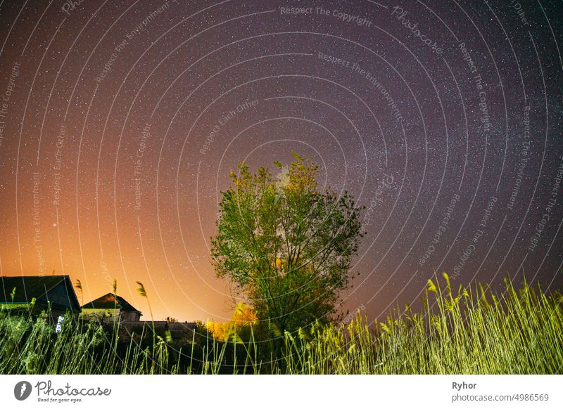 Milky Way Galaxy In Night Starry Sky Above Young Green Lonely Tree In Spring Night. Glowing Stars Above Landscape. Sunset Sunrise Dawn Colors Sky astronomy
