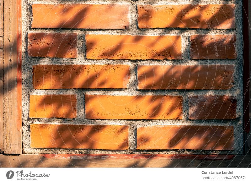 Brick wall in framework with shadow of leaves half-timbered Facade Wall (barrier) Structures and shapes Brick facade Red Orange Shadow Shadow play sunny Pattern