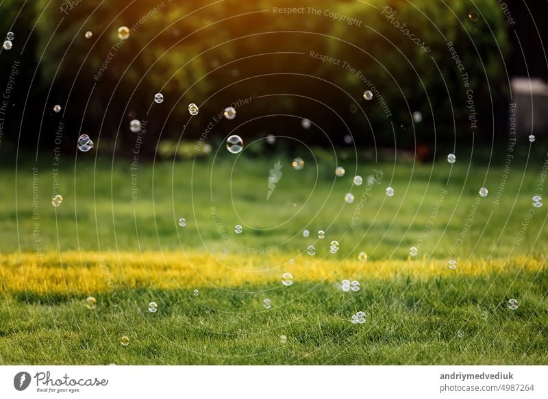 bright soap bubbles on summer natural green abstract background . many flying soap bubble in sunny day. spring or summer season. symbol of childhood, purity, ecology.
