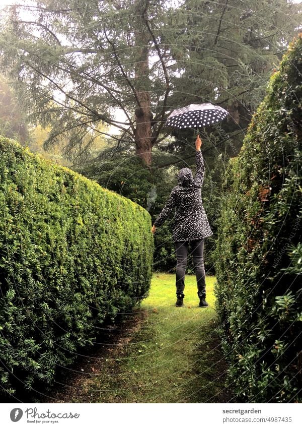 [HH unnamed road] Countess Poppins Wet Hedge Park Green Black points Uphold Umbrellas & Shades Fir tree Passage vanishing point perspective Woman Flying Rain