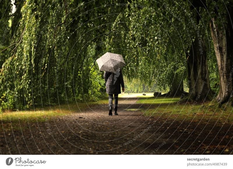 [HH unnamed road] Tunnel vision. To go for a walk relaxation park Park Autumn Umbrella Wet rainy Woman Walking Going relaxing by oneself Lonely trees Tree