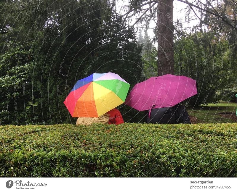 [HH unnamed road] Patronage Umbrellas & Shades Rain Park Garden Green variegated purple Back Hedge Direct Wet Prismatic colors Tree two persons To go for a walk